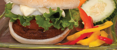 herso hamburguesa de atun